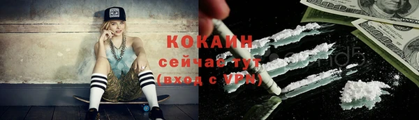 гашик Беломорск
