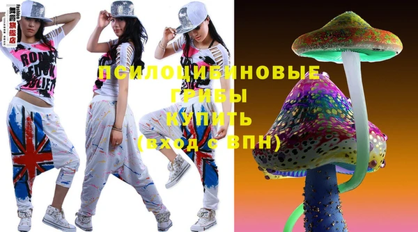гашик Беломорск