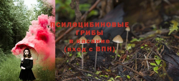 гашик Беломорск