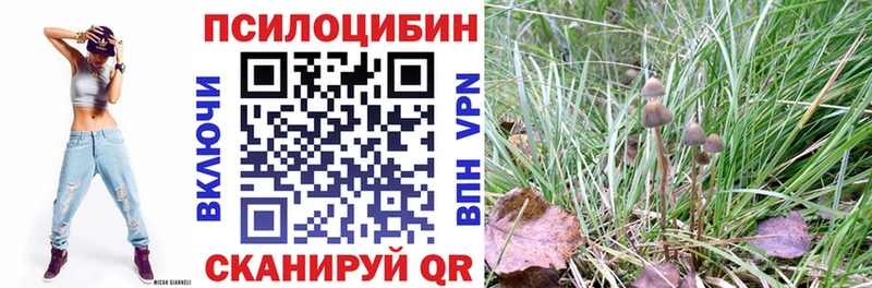 где найти наркотики  Переславль-Залесский  Галлюциногенные грибы прущие грибы 